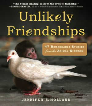 [Unlikely Series 01] • Unlikely Friendships